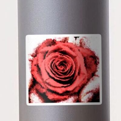 Red Rose in Hand