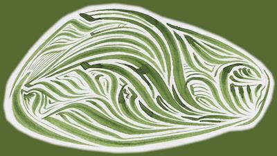 Rich Abstract Line Art in Green