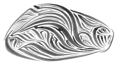 Rich Abstract Line Art in Shades of Grey