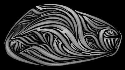 Rich Abstract Line Art in White on Black