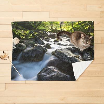 Rocky Forest Stream