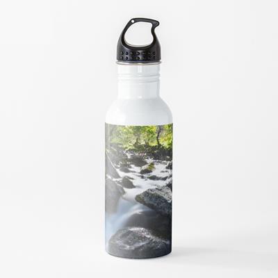 Rocky Forest Stream