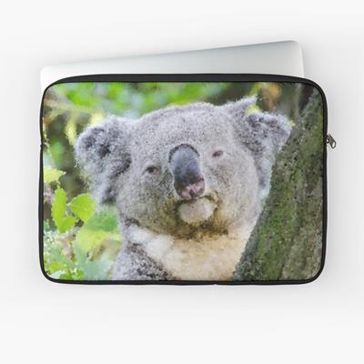 Sleepy Koala