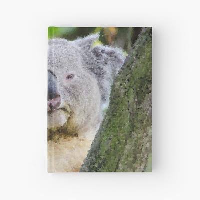 Sleepy Koala