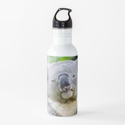 Sleepy Koala