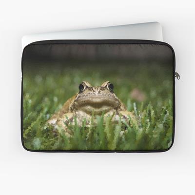 Slightly Judgmental Toad