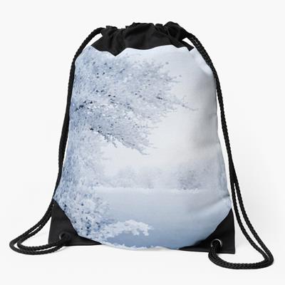 Snowy Wooded Landscape