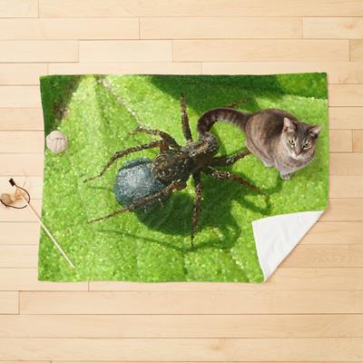 Spider Chilling on Leaves