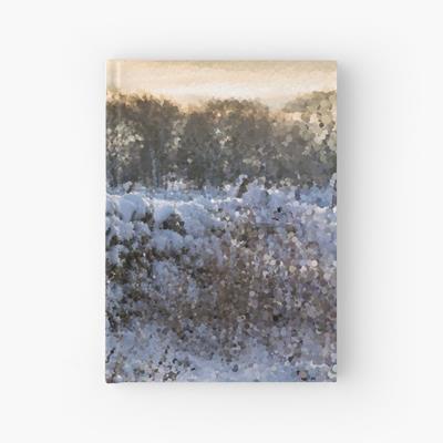 Stone Fence In Winter