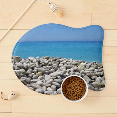 Stony Tropical Beach