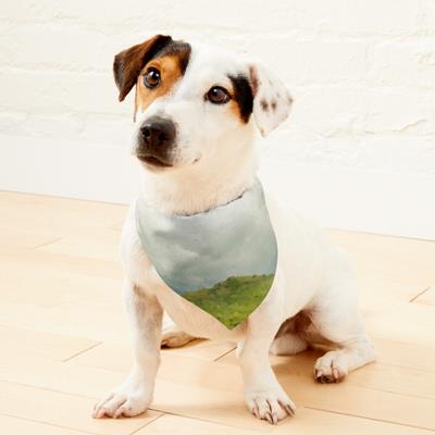 Storm Coming to the Hill