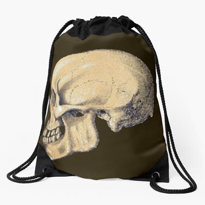 Stylized Skull in Profile