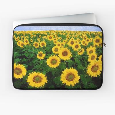 Sunflower Field