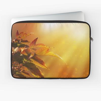 Sunlit Leaves