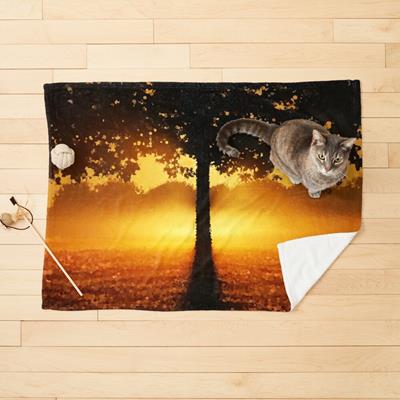 Sunset Tree