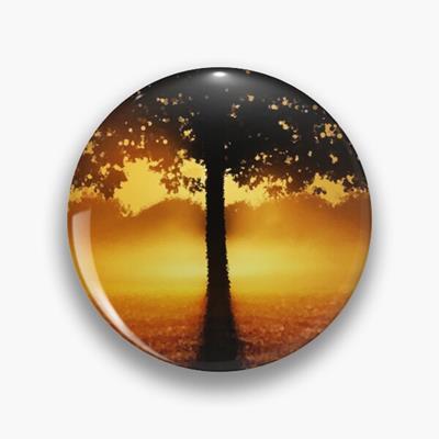 Sunset Tree