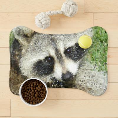 The Cutest Raccoon