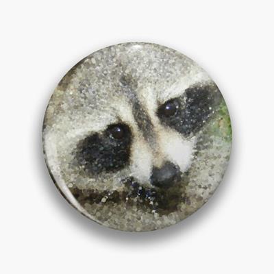 The Cutest Raccoon