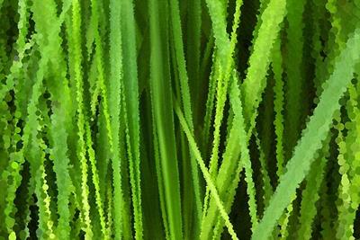The Greener Grass
