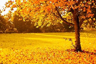 Ultimate Autumn