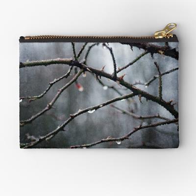 Waterdrops on Bare Branches