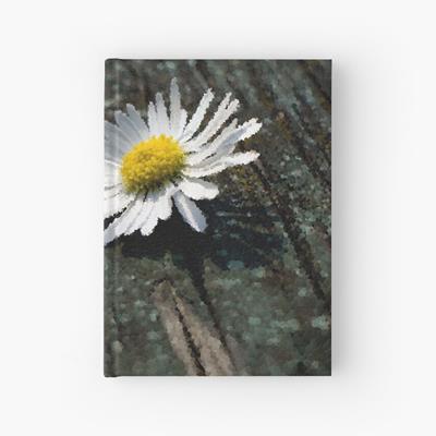 White Daisy on Wood Deck