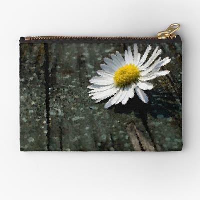 White Daisy on Wood Deck