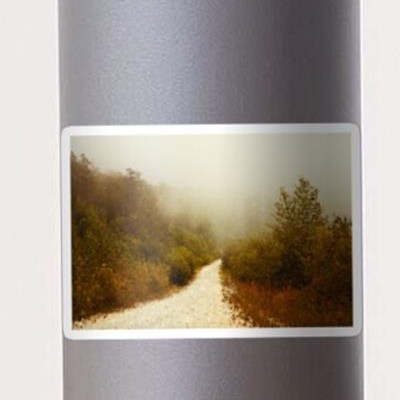 White Gravel Path Into Fog