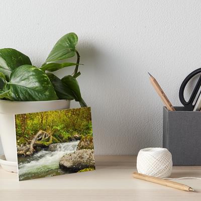 White Water in a Rocky Stream