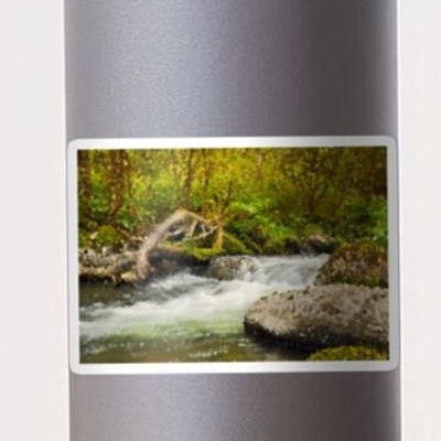 White Water in a Rocky Stream