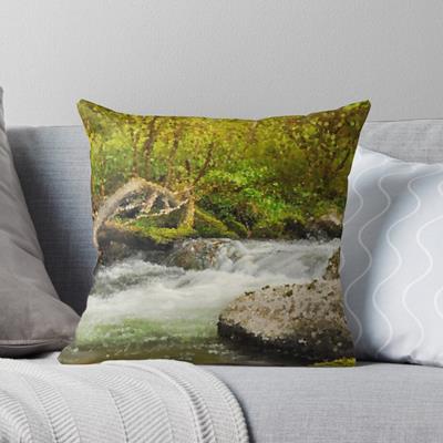 White Water in a Rocky Stream
