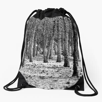 Woods in Black and White