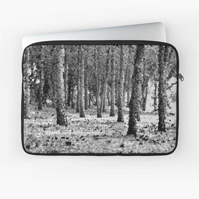 Woods in Black and White