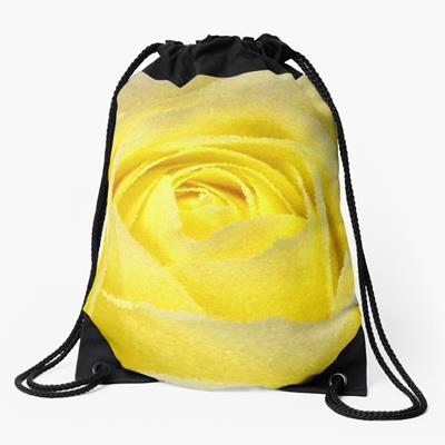 Yellow Rose